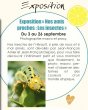 expo insectes - JPG - 852.7 ko (nouvelle fenêtre)